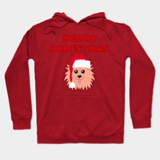 Merry Christmas with Pom Hoodie